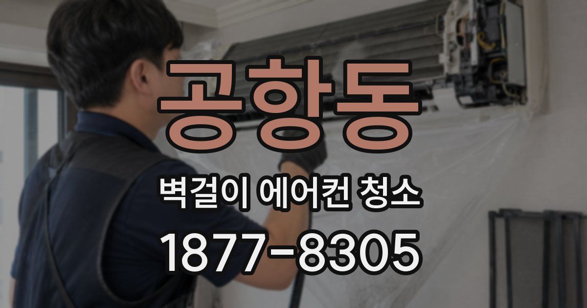 공항동 벽걸이 에어컨 청소
