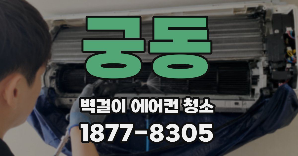 궁동 벽걸이 에어컨 청소