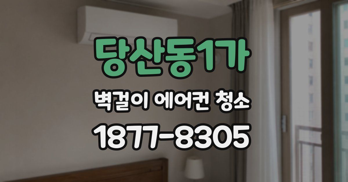 당산동1가 벽걸이 에어컨 청소