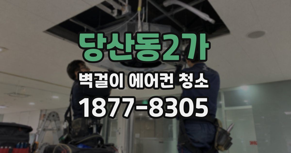 당산동2가 벽걸이 에어컨 청소