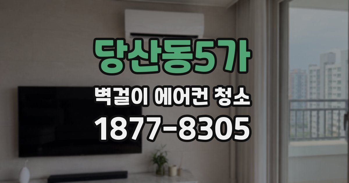 당산동5가 벽걸이 에어컨 청소