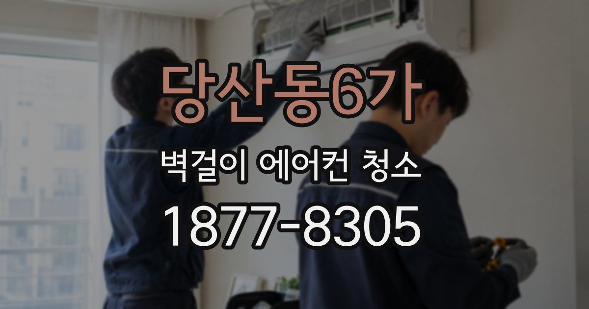 당산동6가 벽걸이 에어컨 청소