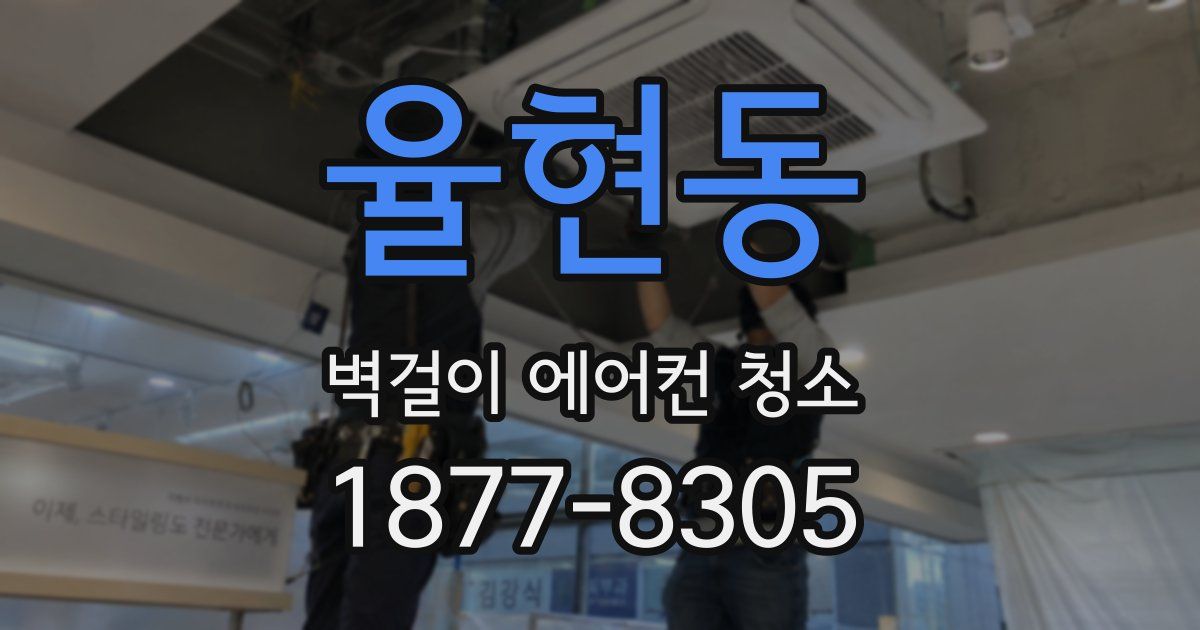 율현동 벽걸이 에어컨 청소
