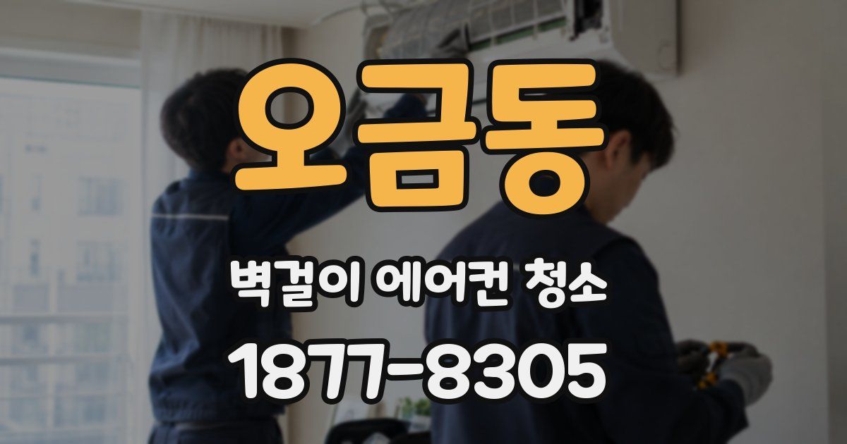 오금동 벽걸이 에어컨 청소
