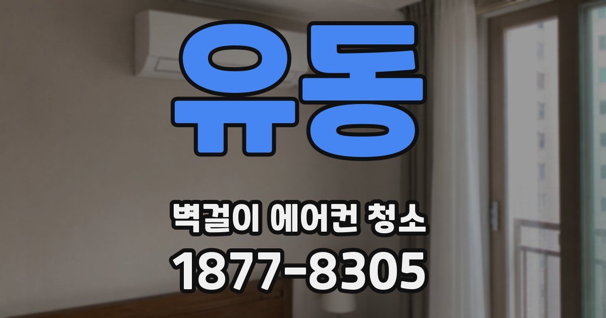 유동 벽걸이 에어컨 청소