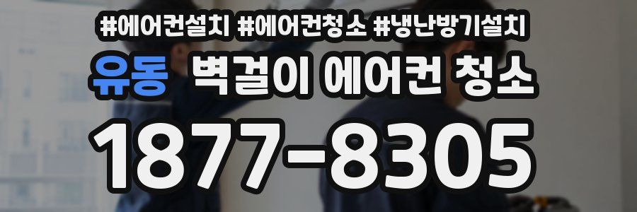 유동 벽걸이 에어컨 청소