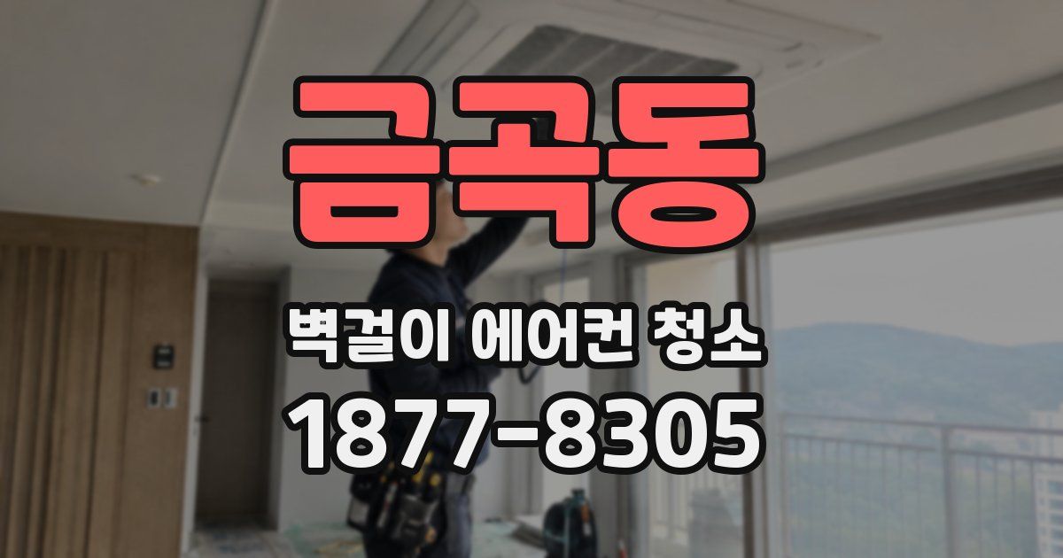 금곡동 벽걸이 에어컨 청소