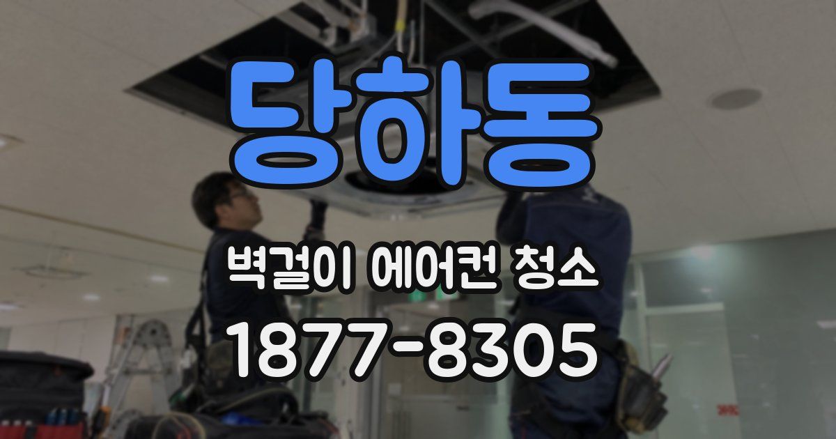 당하동 벽걸이 에어컨 청소