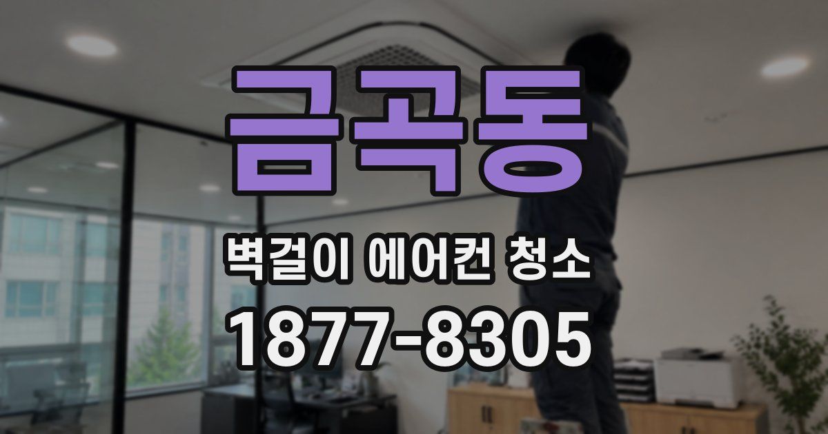 금곡동 벽걸이 에어컨 청소