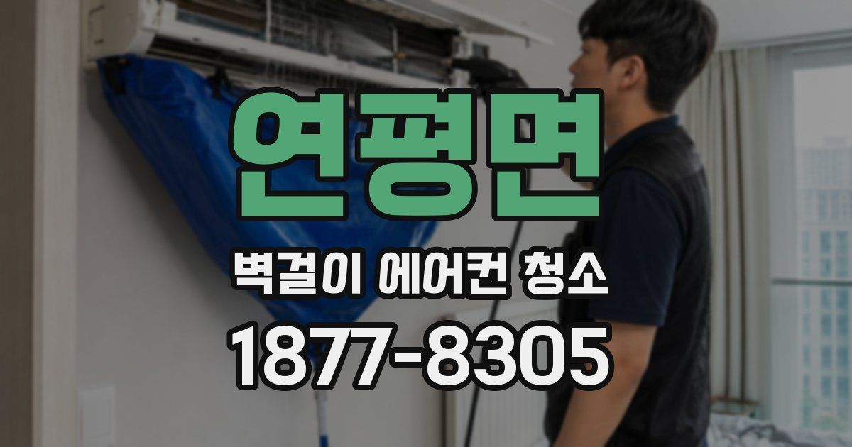 연평면 벽걸이 에어컨 청소