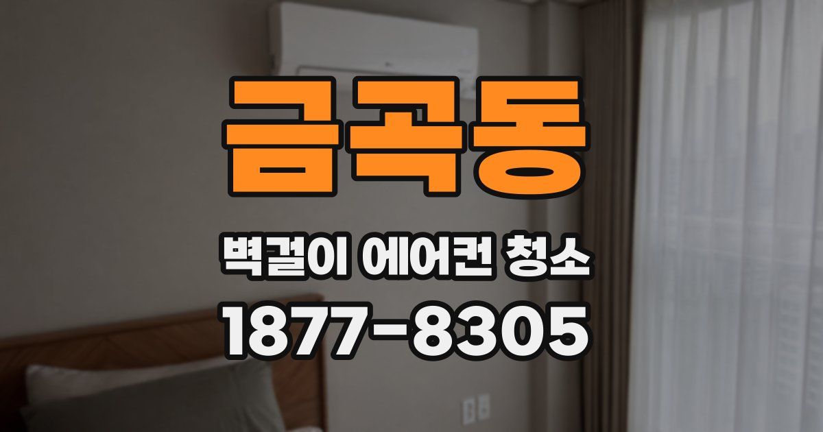 금곡동 벽걸이 에어컨 청소
