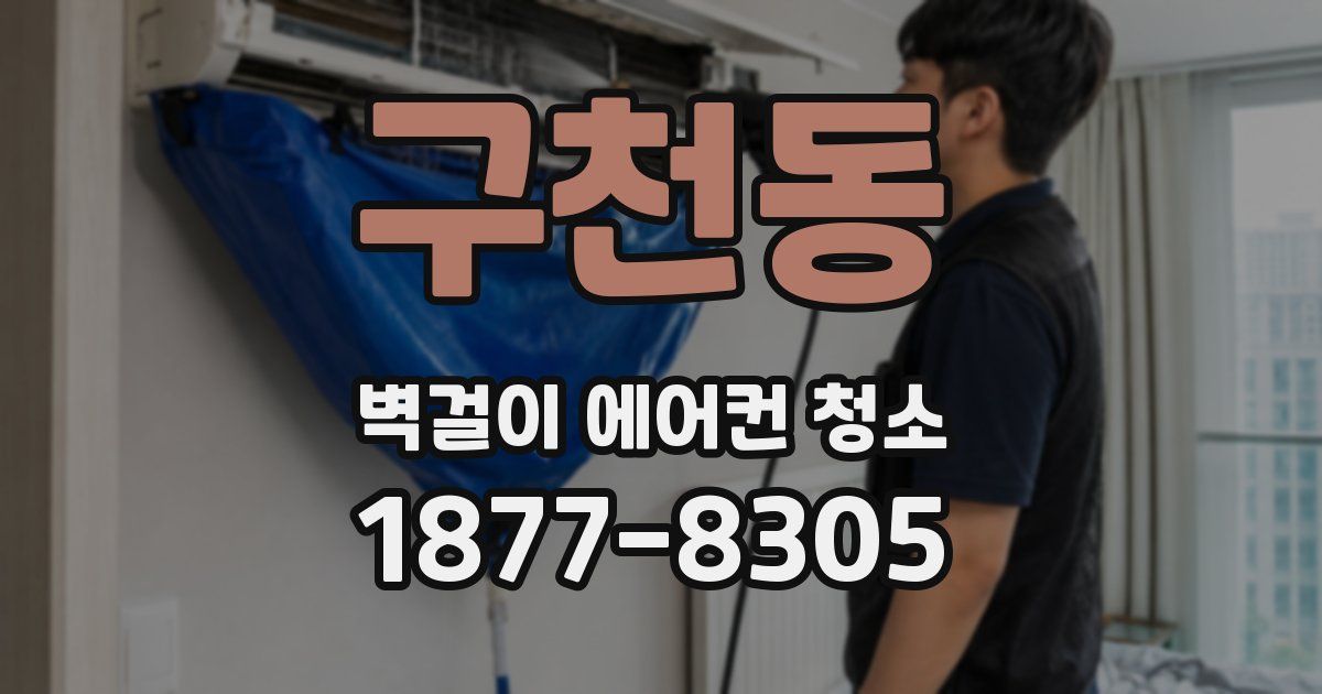 구천동 벽걸이 에어컨 청소