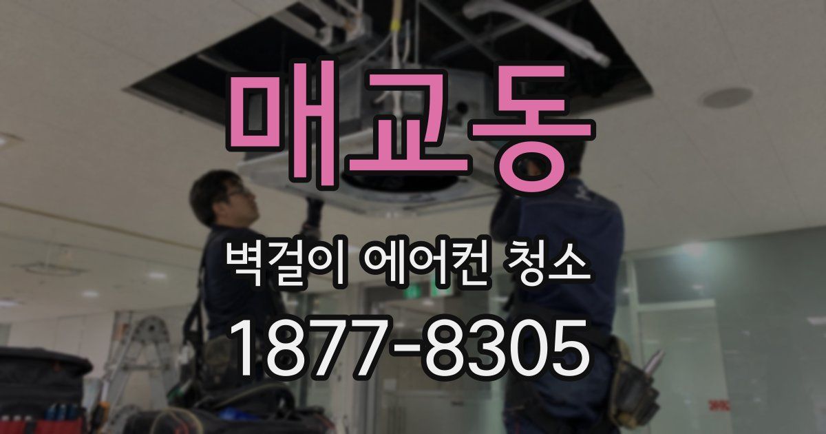 매교동 벽걸이 에어컨 청소