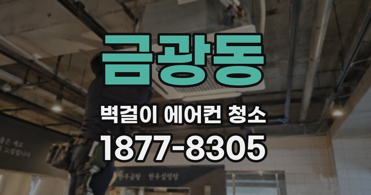 금광동 벽걸이 에어컨 청소