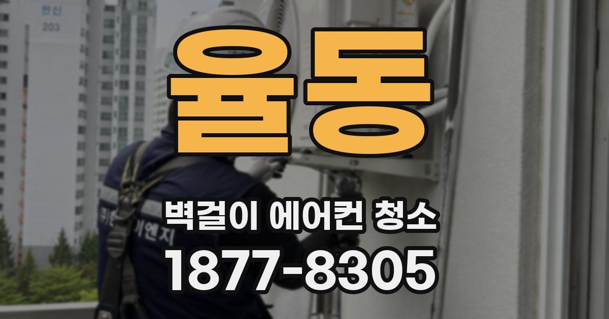 율동 벽걸이 에어컨 청소