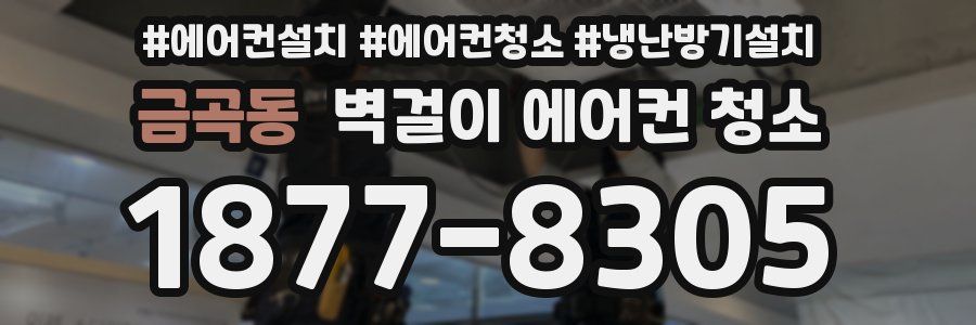 금곡동 벽걸이 에어컨 청소