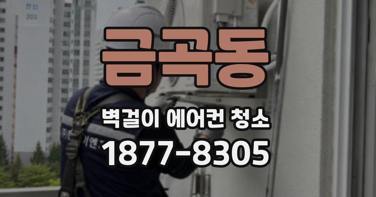 금곡동 벽걸이 에어컨 청소