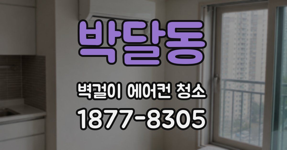박달동 벽걸이 에어컨 청소