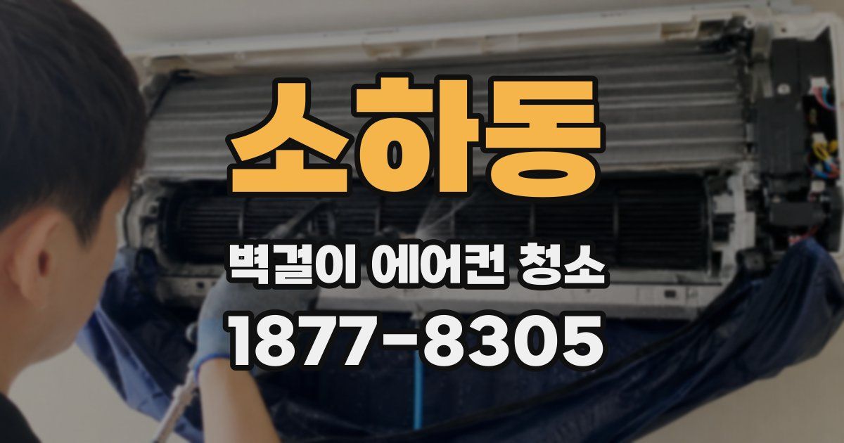 소하동 벽걸이 에어컨 청소