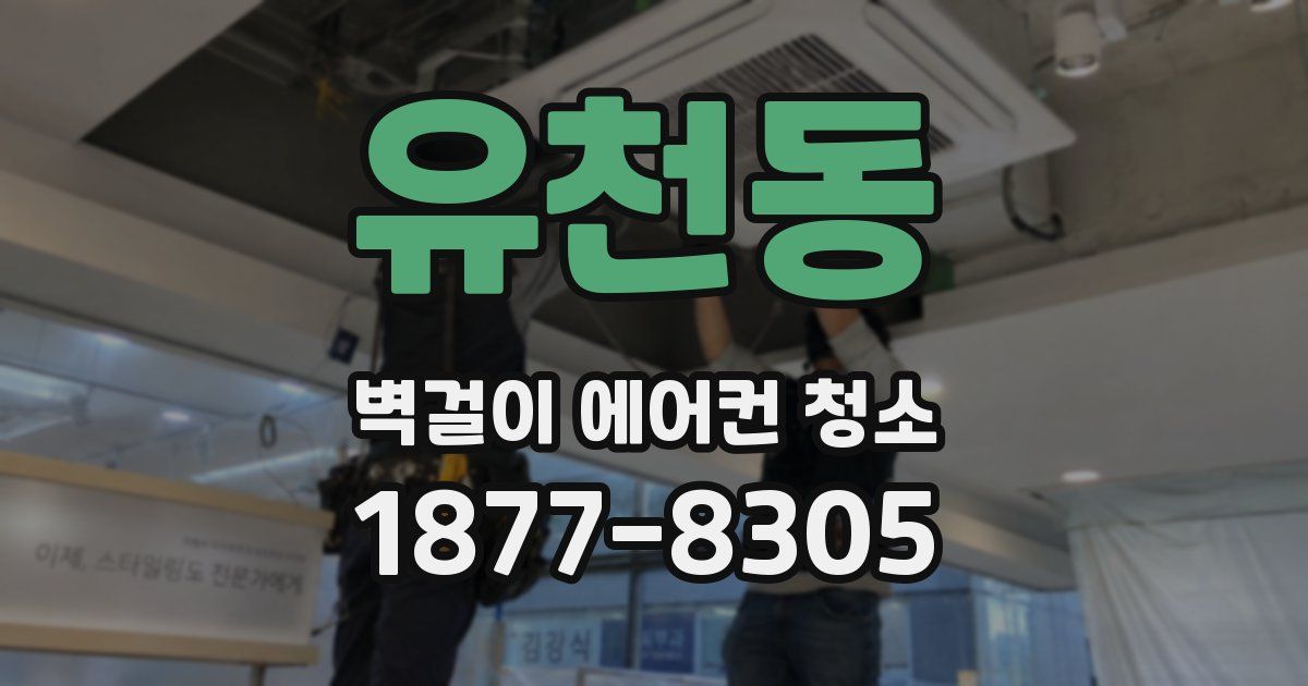 유천동 벽걸이 에어컨 청소