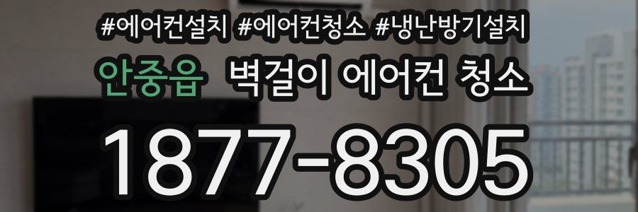 안중읍 벽걸이 에어컨 청소