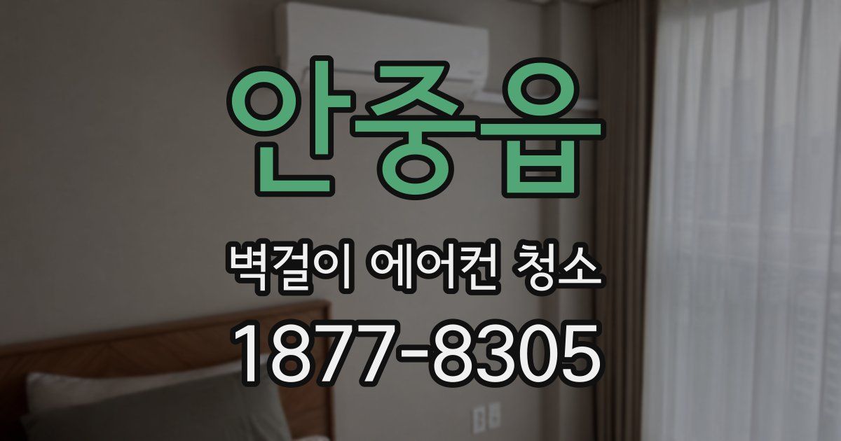 안중읍 벽걸이 에어컨 청소