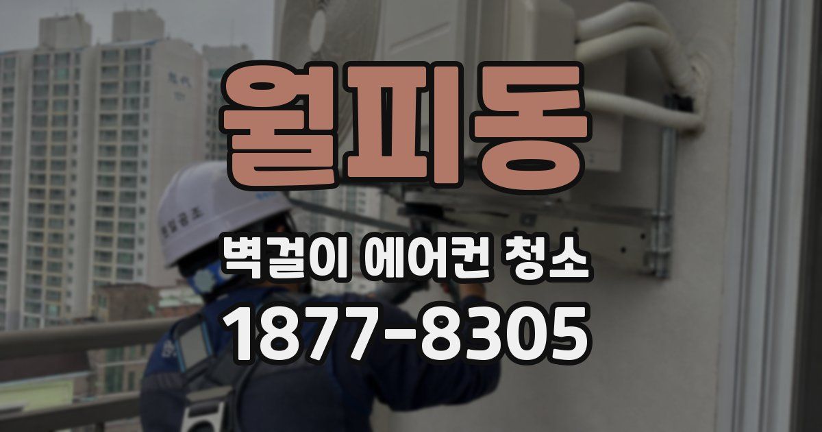 월피동 벽걸이 에어컨 청소