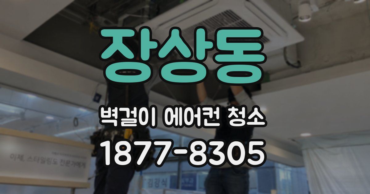 장상동 벽걸이 에어컨 청소