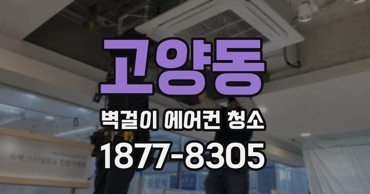 고양동 벽걸이 에어컨 청소