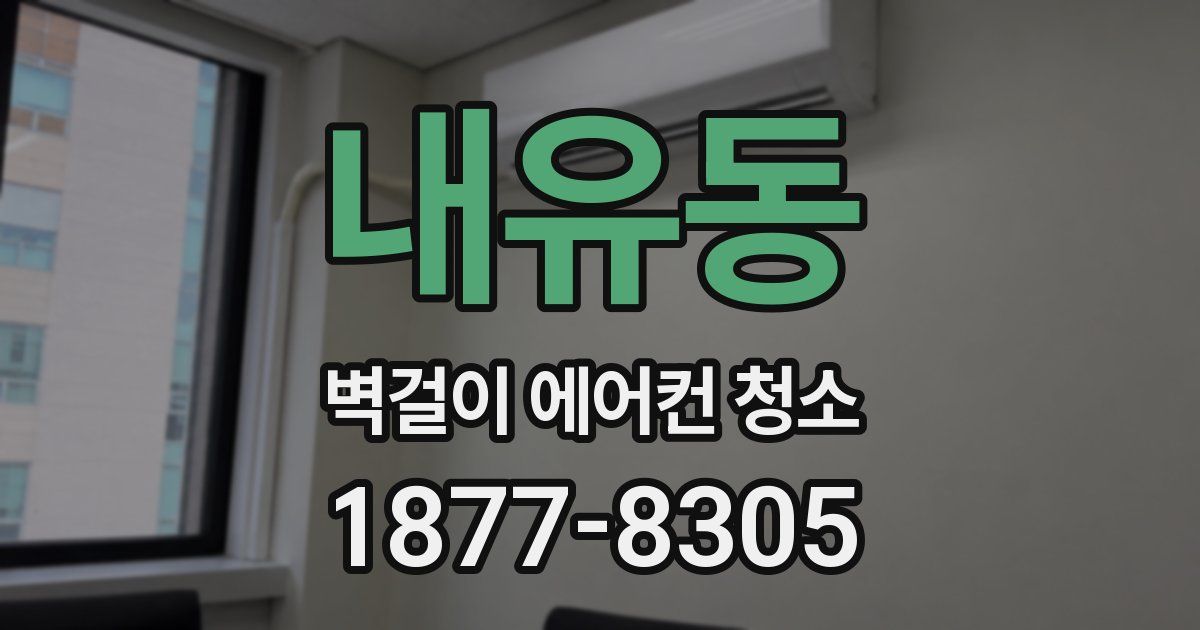 내유동 벽걸이 에어컨 청소