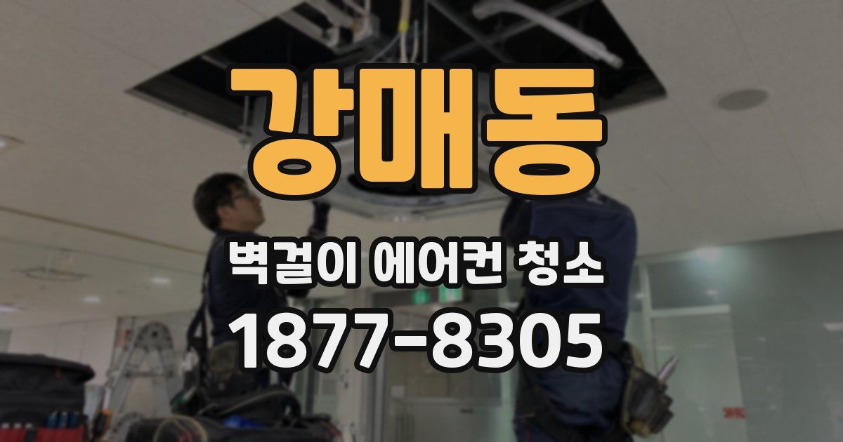 강매동 벽걸이 에어컨 청소
