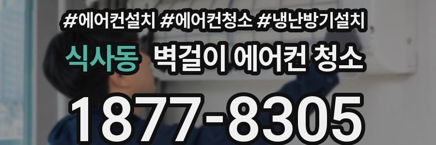 식사동 벽걸이 에어컨 청소