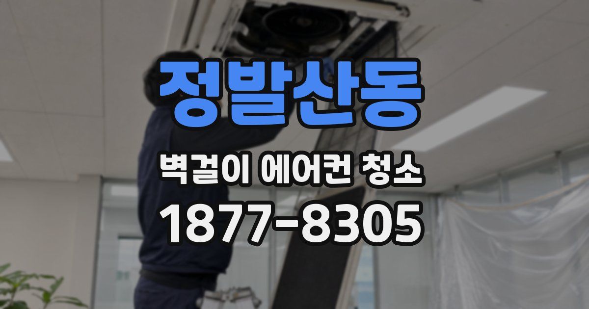 정발산동 벽걸이 에어컨 청소