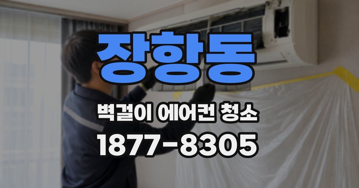 장항동 벽걸이 에어컨 청소
