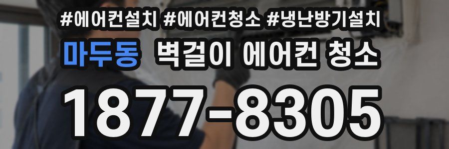 마두동 벽걸이 에어컨 청소