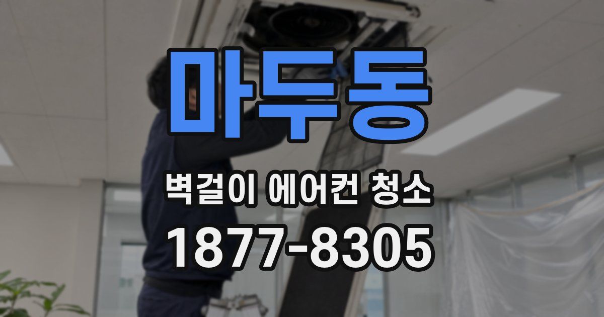 마두동 벽걸이 에어컨 청소