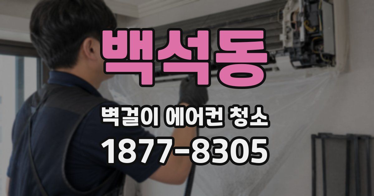 백석동 벽걸이 에어컨 청소