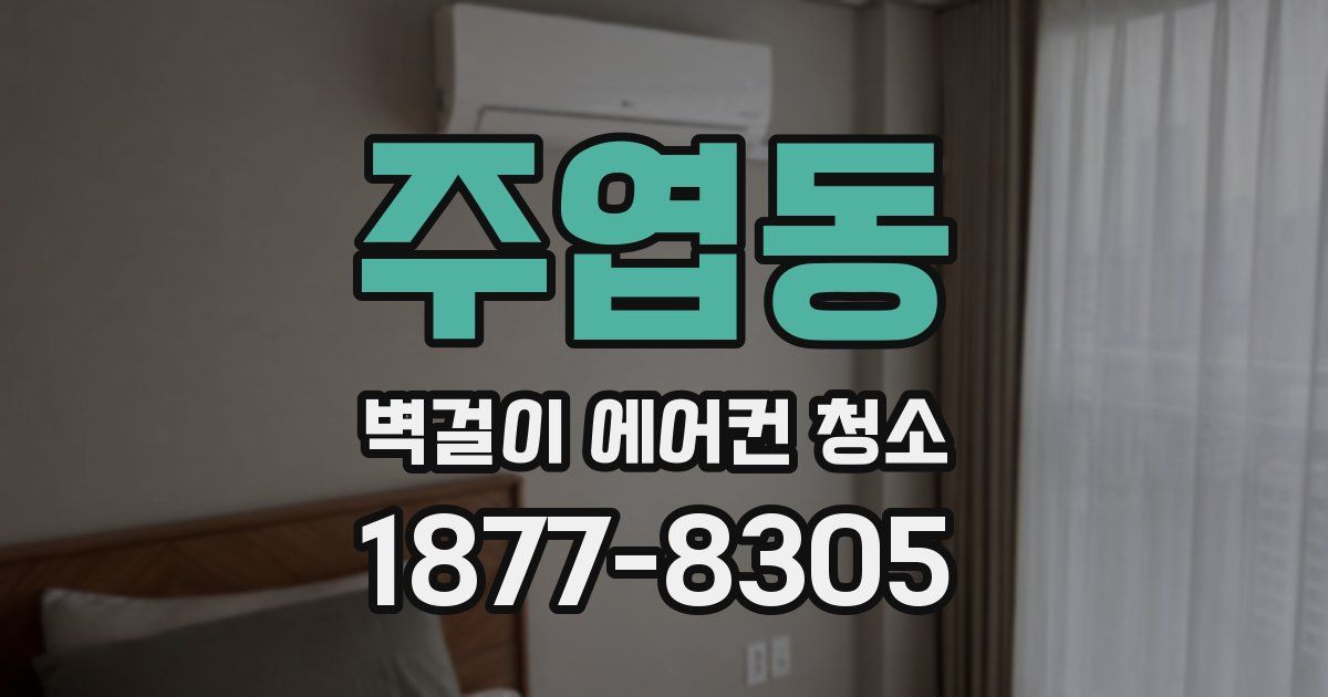 주엽동 벽걸이 에어컨 청소