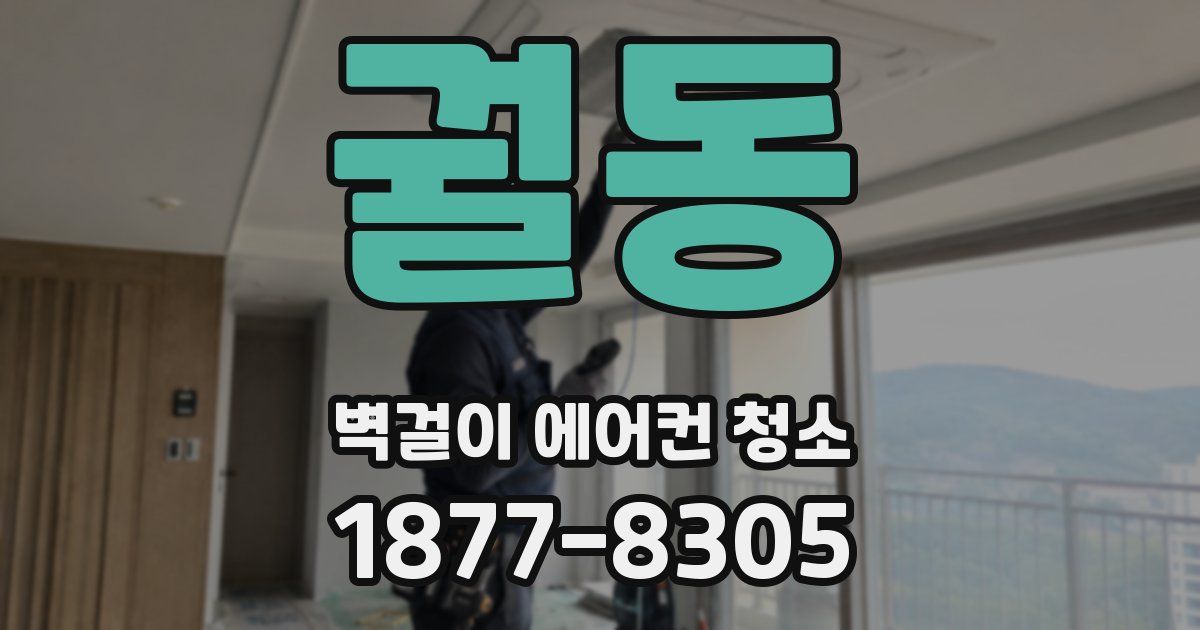 궐동 벽걸이 에어컨 청소