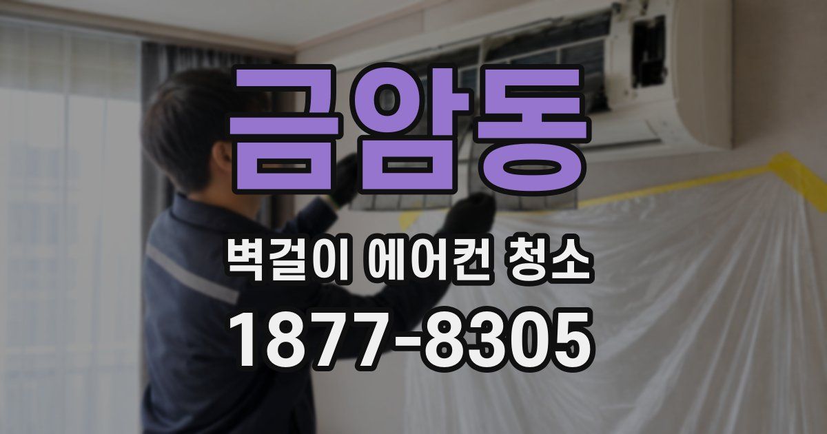금암동 벽걸이 에어컨 청소