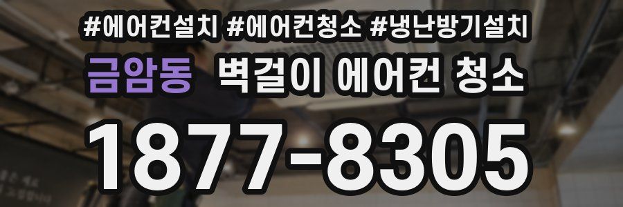 금암동 벽걸이 에어컨 청소