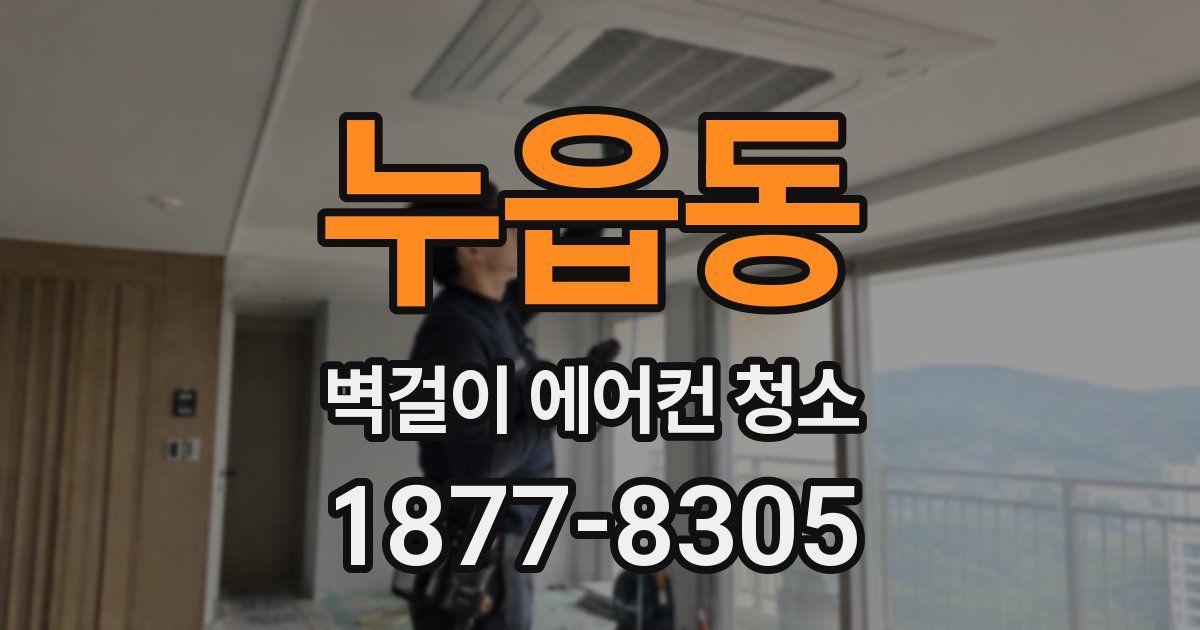 누읍동 벽걸이 에어컨 청소
