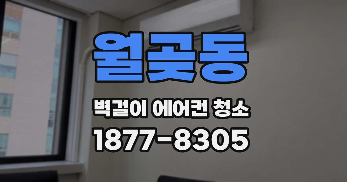 월곶동 벽걸이 에어컨 청소