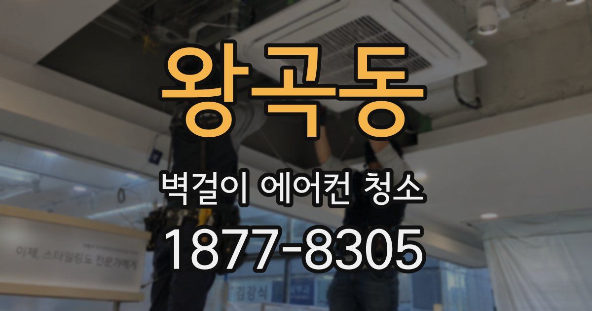왕곡동 벽걸이 에어컨 청소