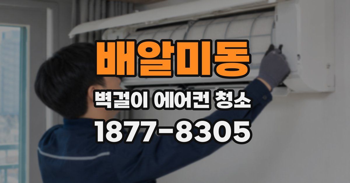 배알미동 벽걸이 에어컨 청소