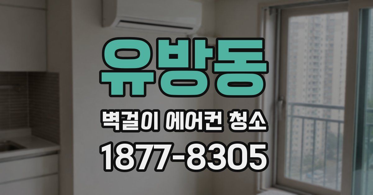 유방동 벽걸이 에어컨 청소