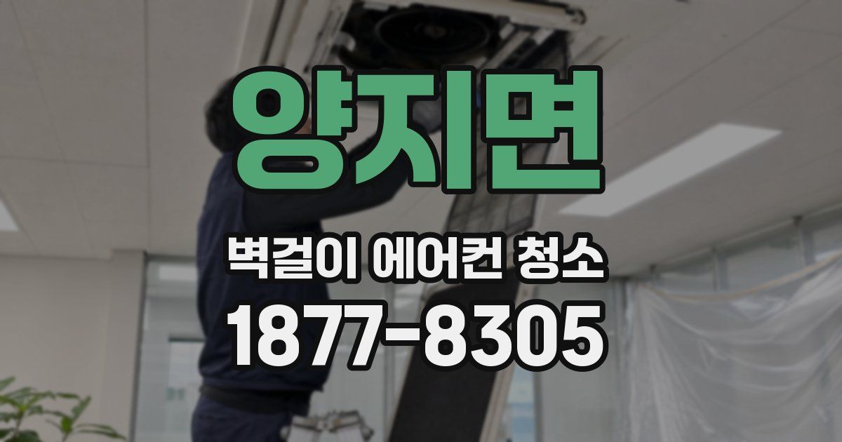 양지면 벽걸이 에어컨 청소