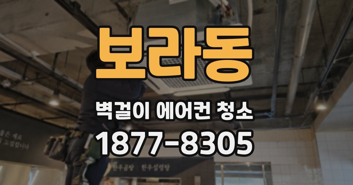 보라동 벽걸이 에어컨 청소