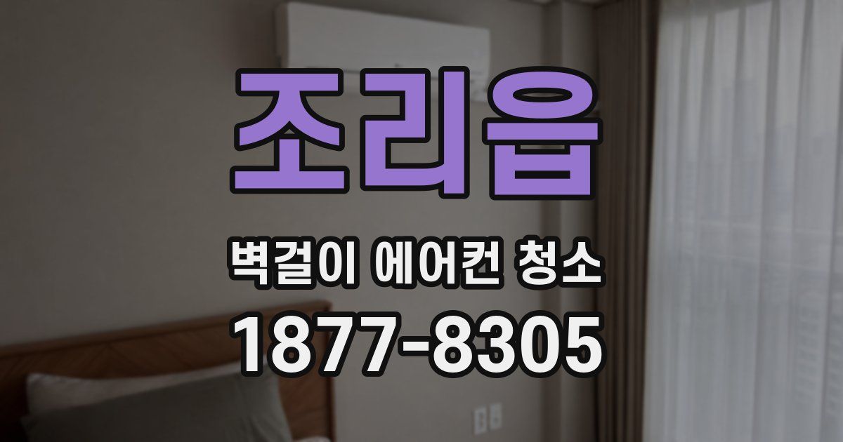 조리읍 벽걸이 에어컨 청소