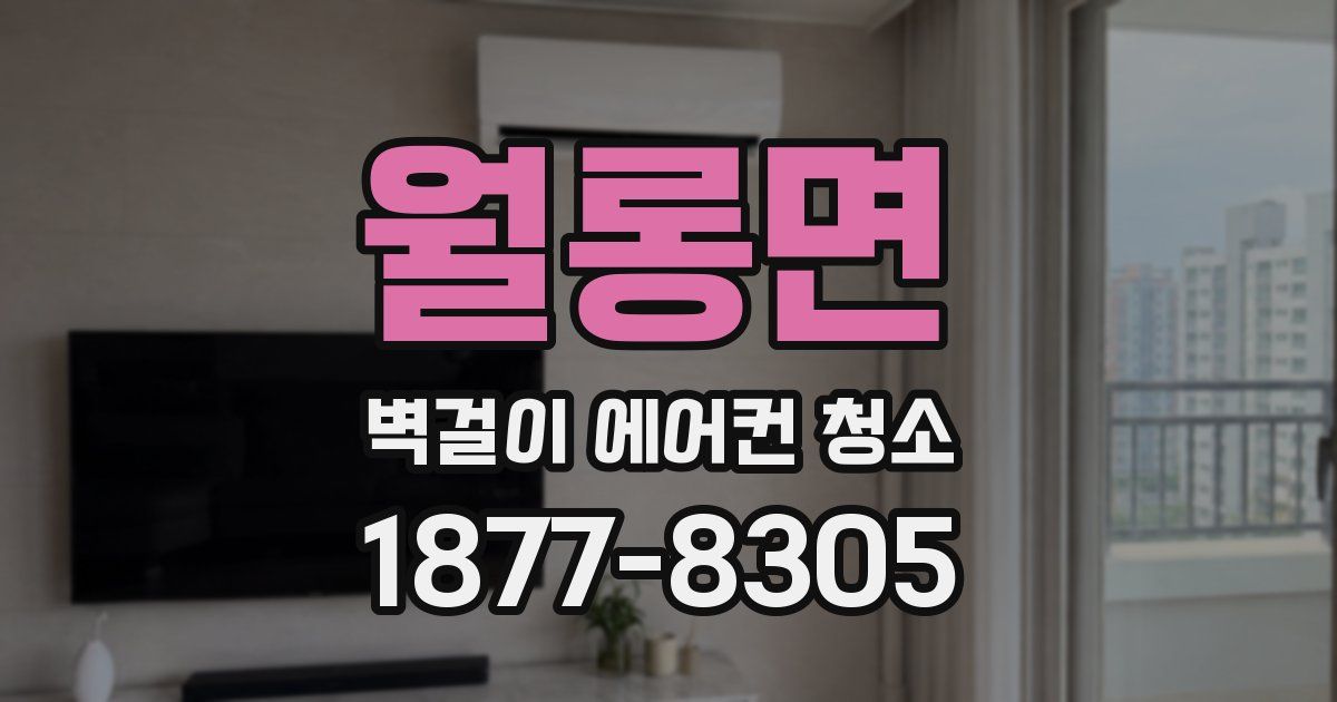 월롱면 벽걸이 에어컨 청소